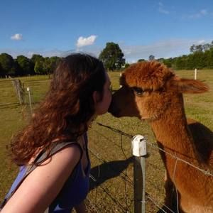 Meet your Posher, Grace